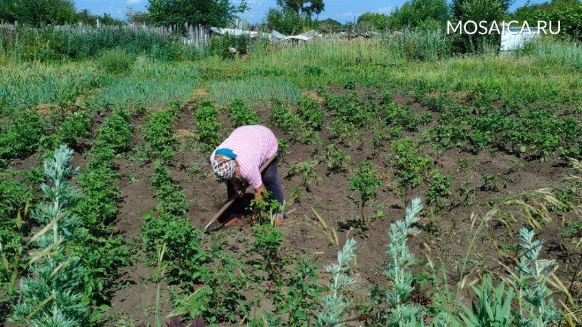 Архив редакции