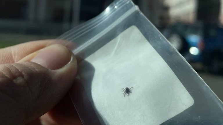 Архив редакции