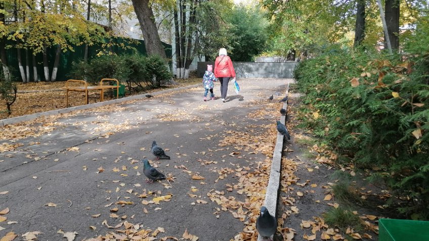 Фото: mosaica.ru