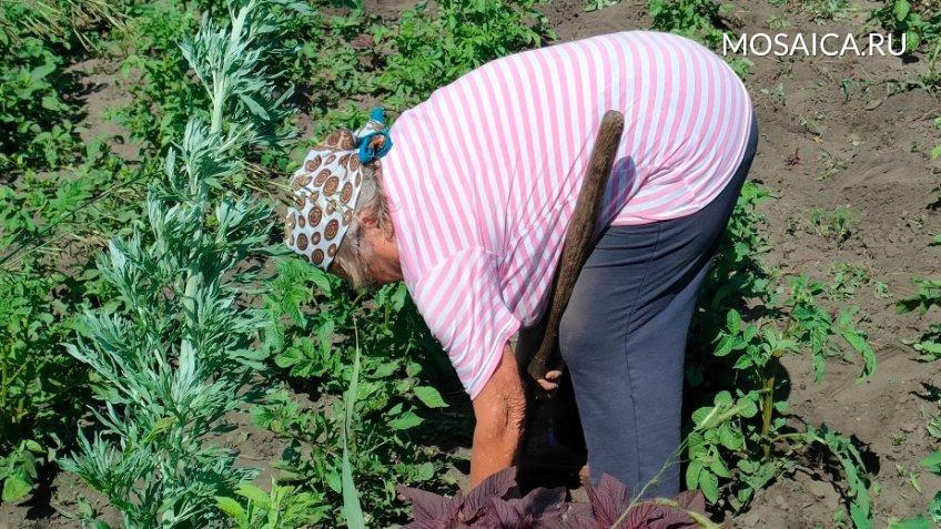 Архив редакции