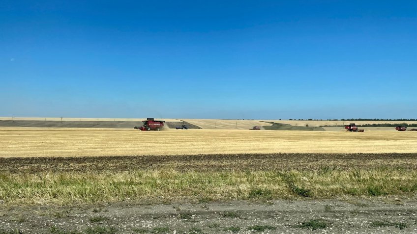 Фото: mosaica.ru