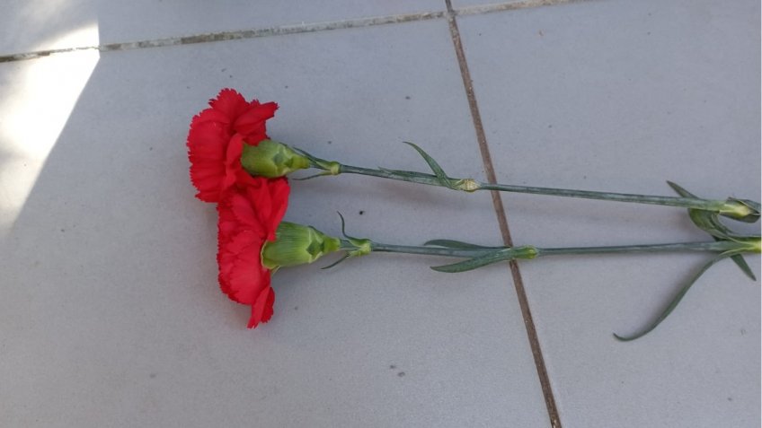 Фото: mosaica.ru