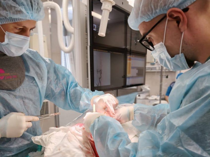 Фото: Минздрав УО