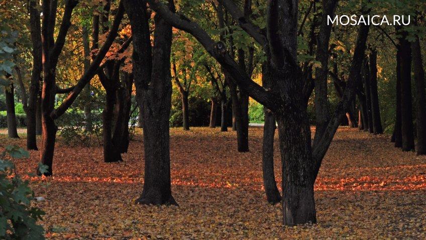 Архив редакции