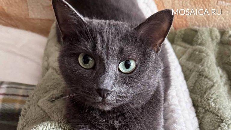 Архив редакции