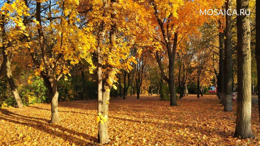 Архив редакции