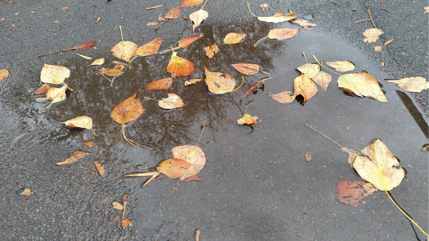 Фото: mosaica.ru