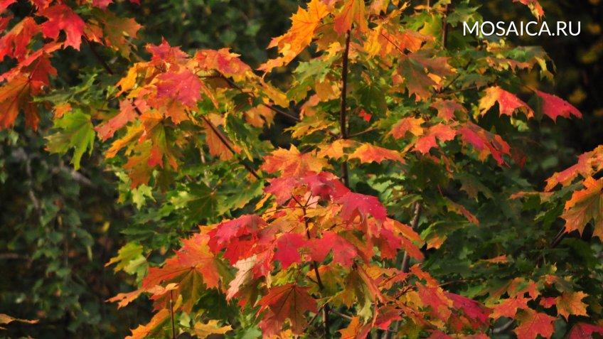 Архив редакции