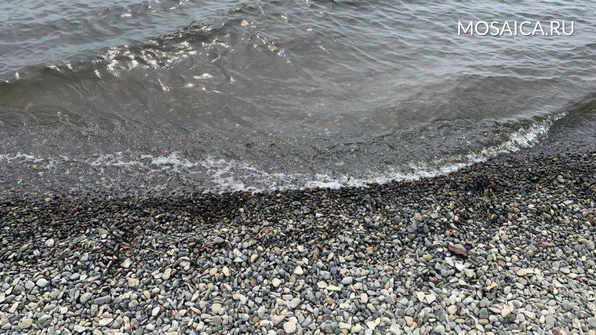 Архив редакции