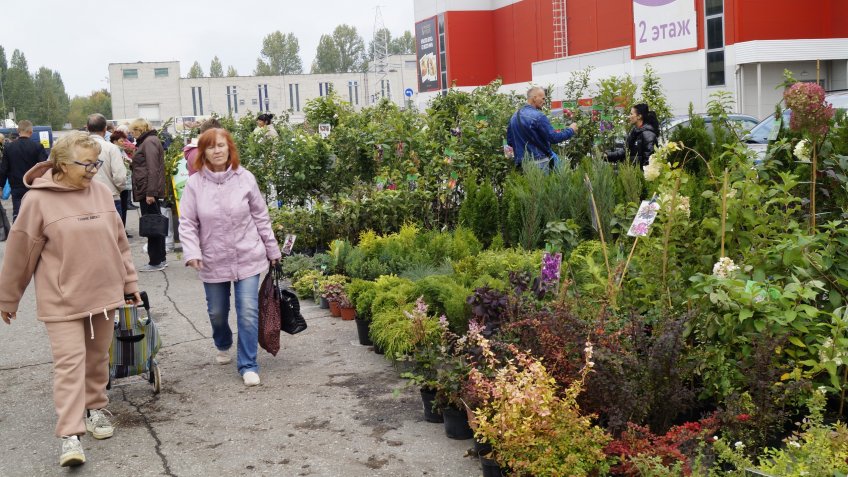 Фото: mosaica.ru