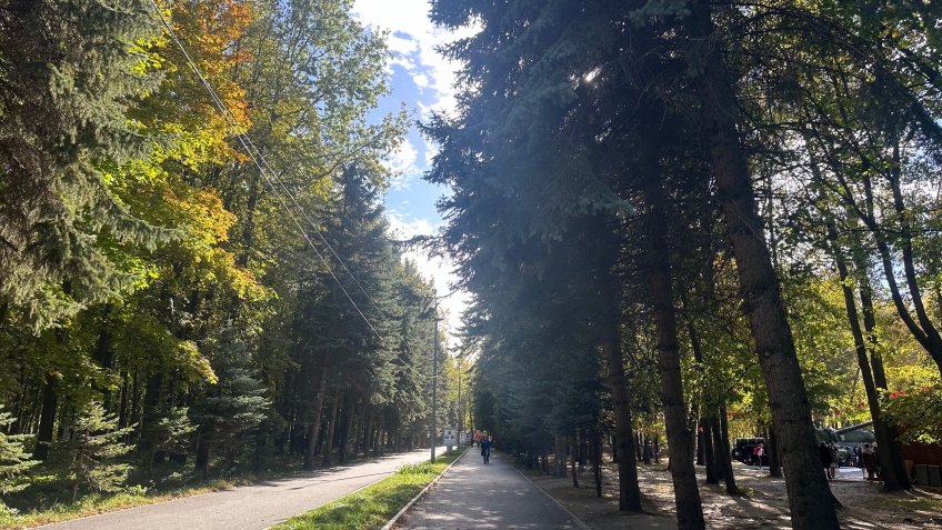 Фото: mosaica.ru