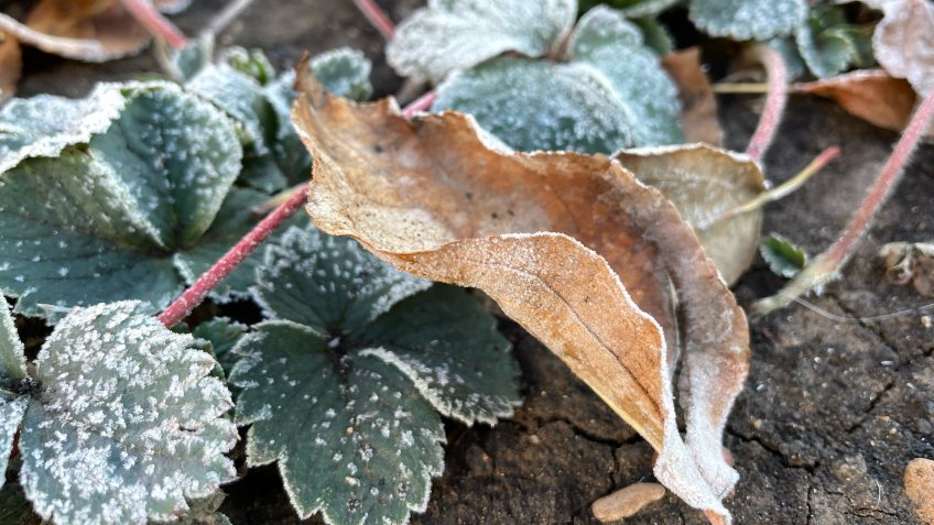 Фото: mosaica.ru