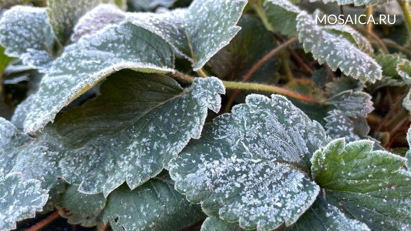 Архив редакции