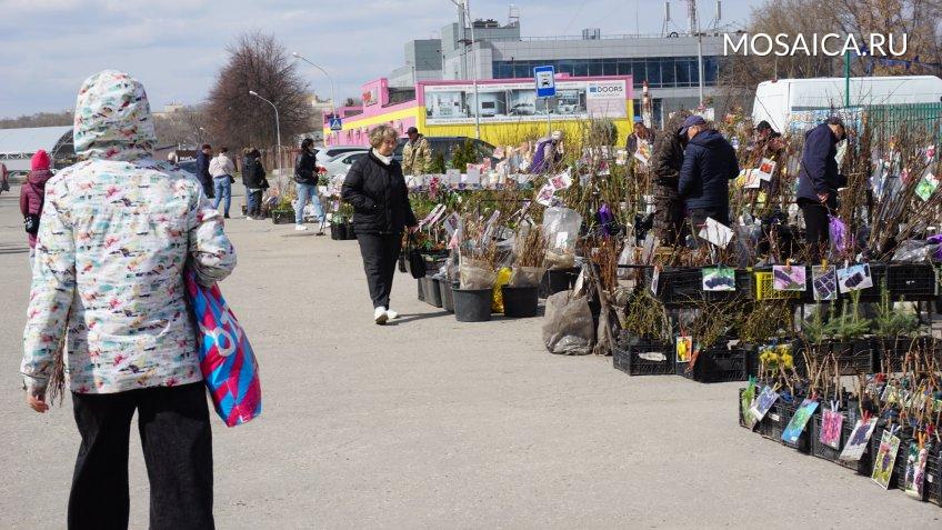 Архив редакции