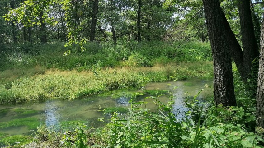 Фото: mosaica.ru