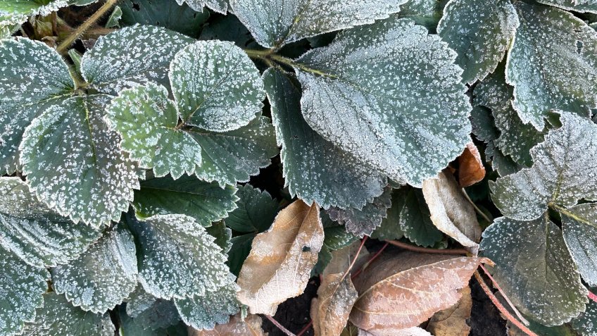 Фото: mosaica.ru