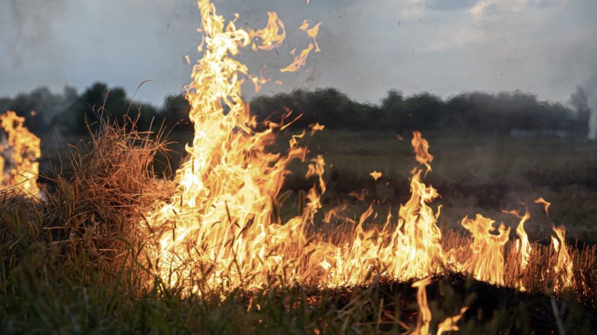 pvproductions/freepik.com