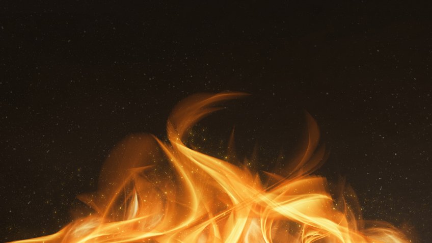 Фото: freepik.com