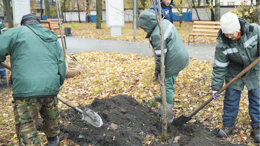 администрация Ульяновска
