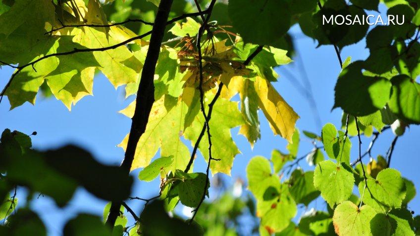 Архив редакции