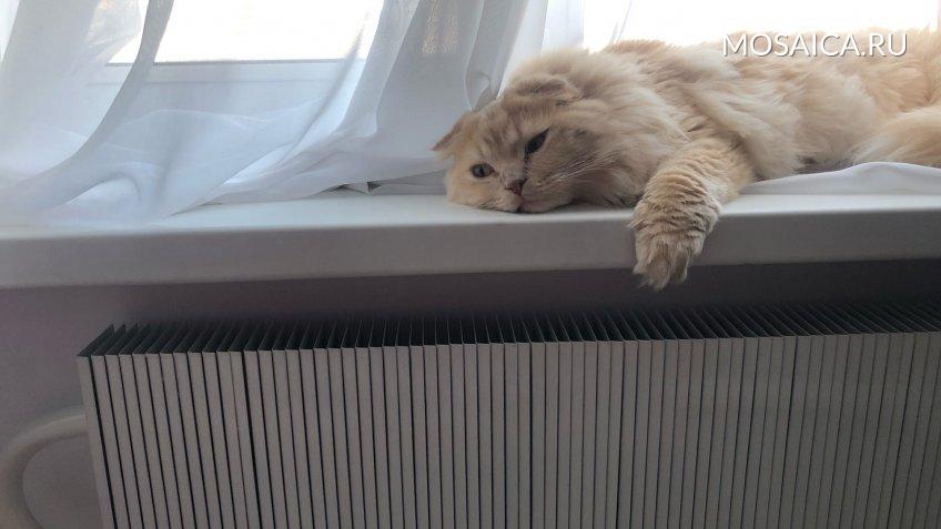 Архив редакции