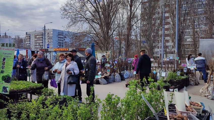 Фото: mosaica.ru