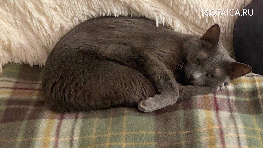 Архив редакции