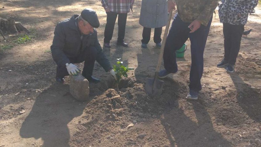 администрация Заволжского района Ульяновска