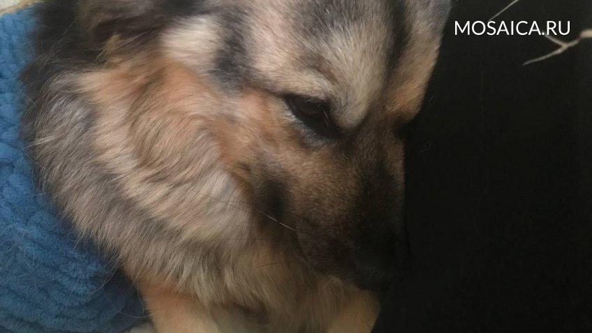 Архив редакции