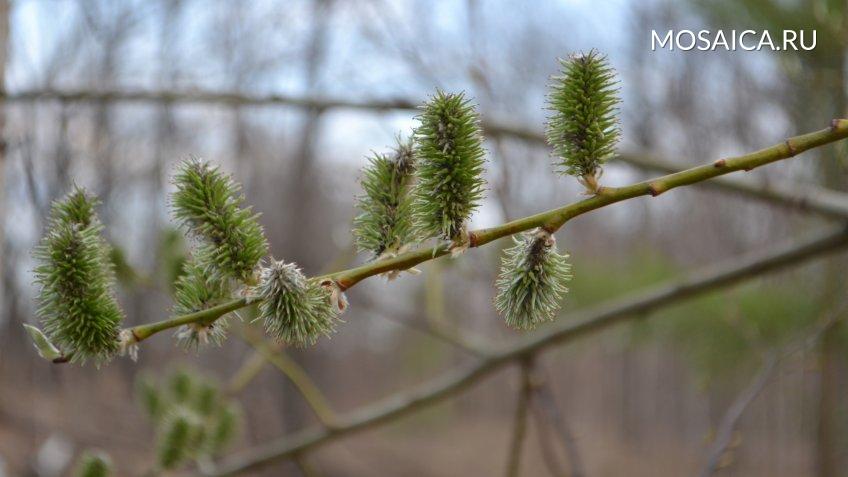 Архив редакции
