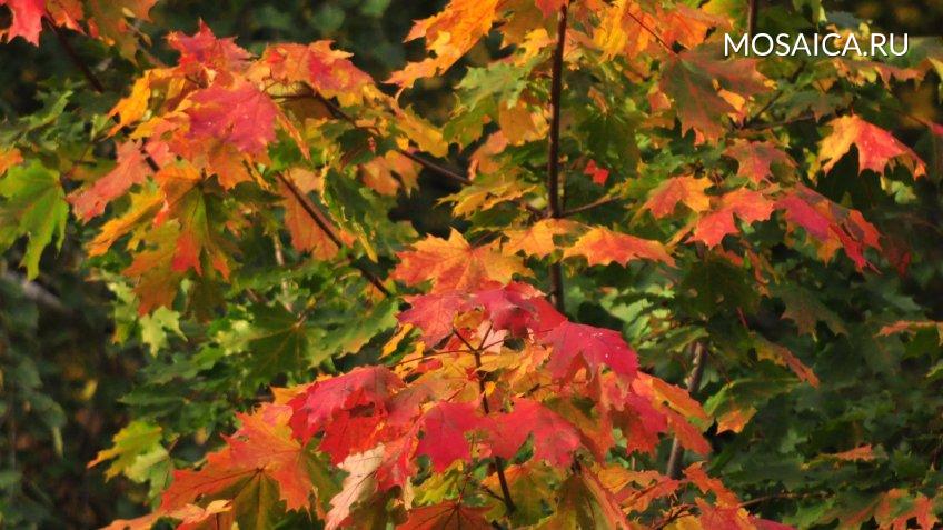 Архив редакции