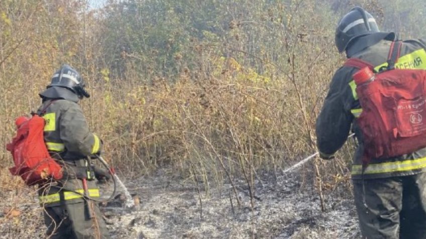 Пресс-служба Администрации города Ульяновска