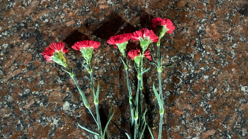 Фото: mosaica.ru