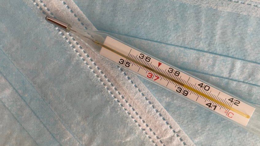 Фото: mosaica.ru