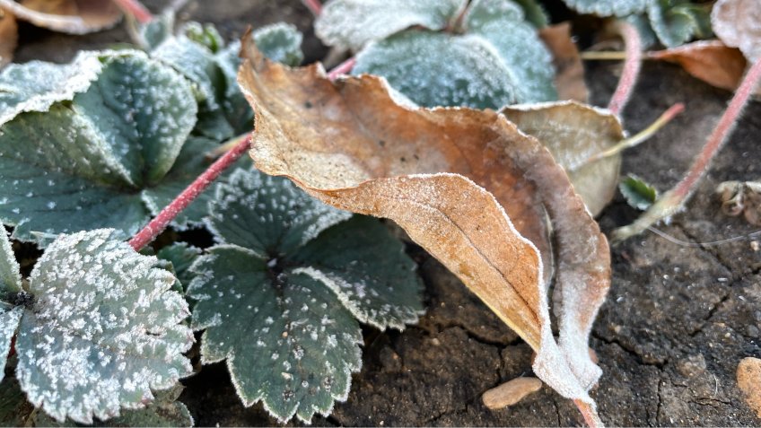 Фото: mosaica.ru