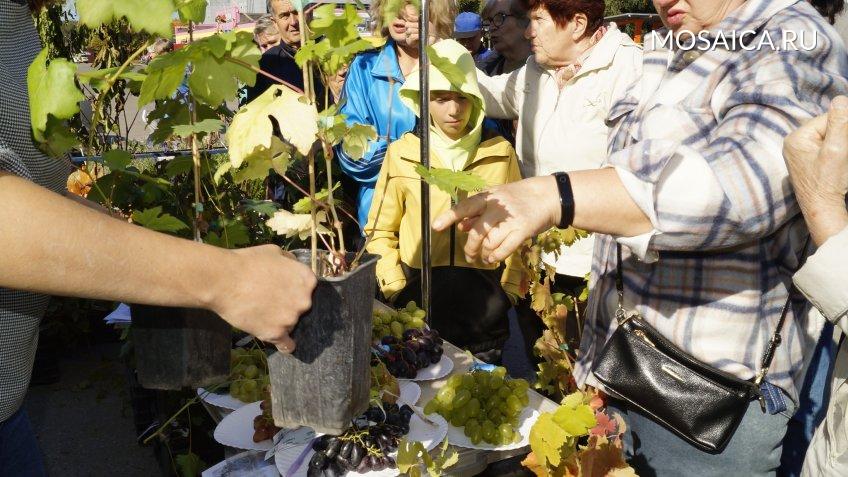 Архив редакции