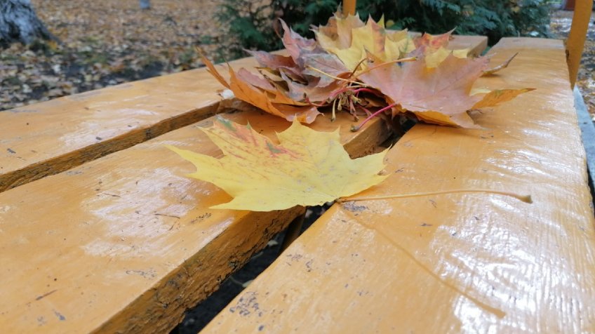 Фото: mosaica.ru