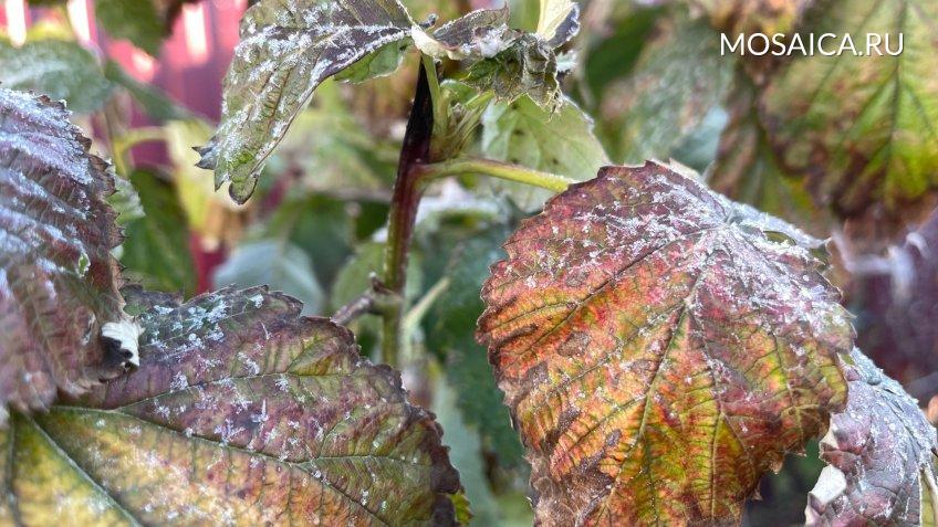 Архив редакции