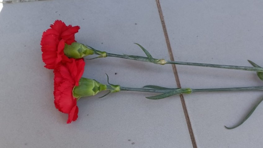 Фото: mosaica.ru