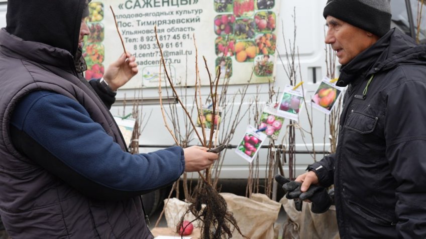 Администрация