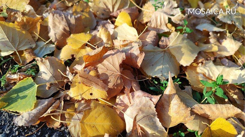 Фото: mosaica.ru