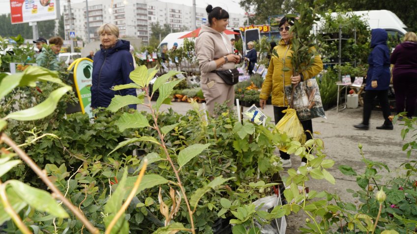 Фото: mosaica.ru