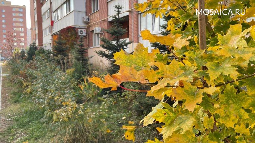 Архив редакции