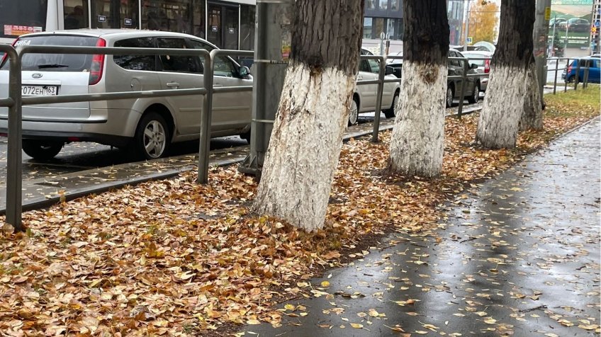 Фото: mosaica.ru