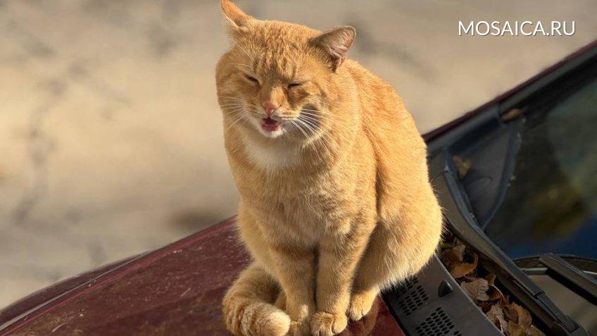 Архив редакции