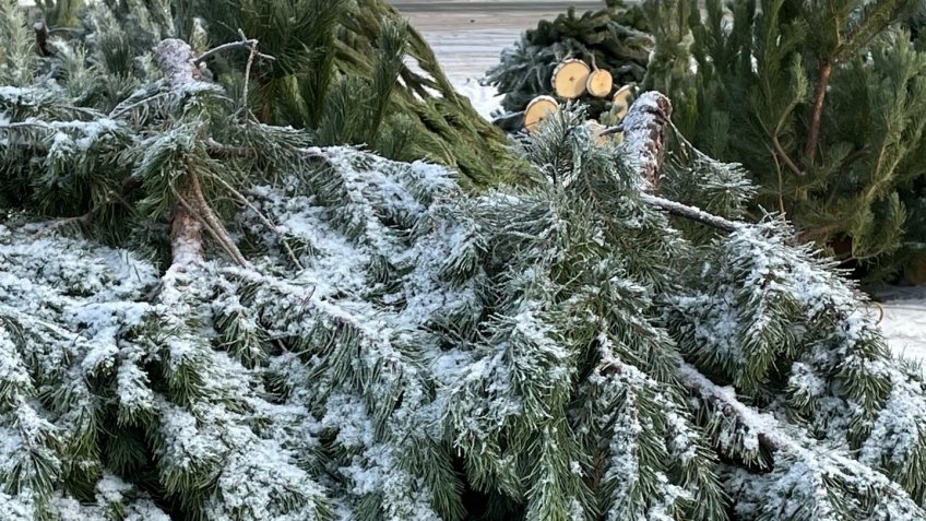 Фото: mosaica.ru