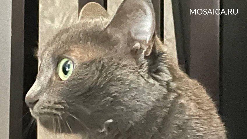 Архив редакции