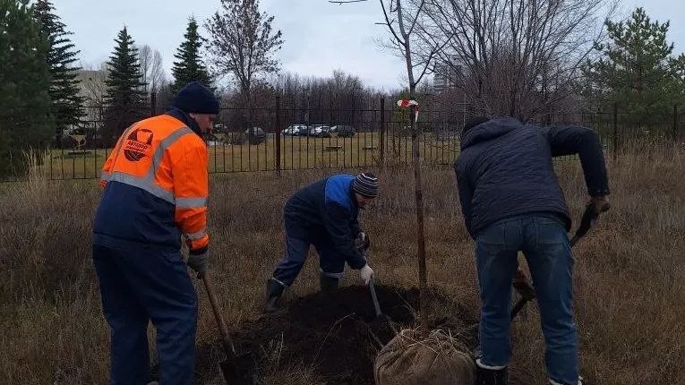 Фото: администрация Ульяновска