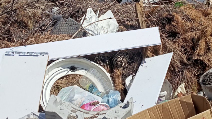 Россельхознадзор