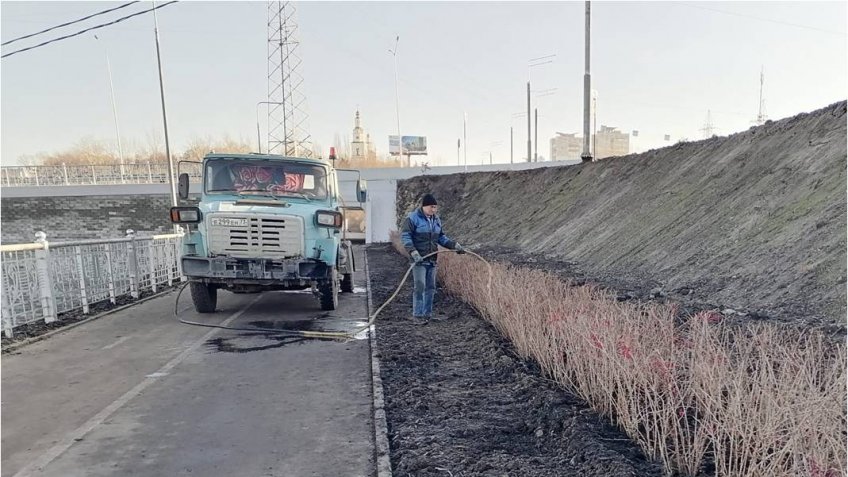 Фото: администрация Ульяновска
